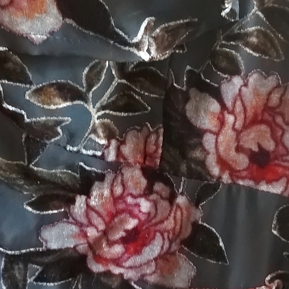 Dex label burnout velvet dress Size L - Picture 3 of 6